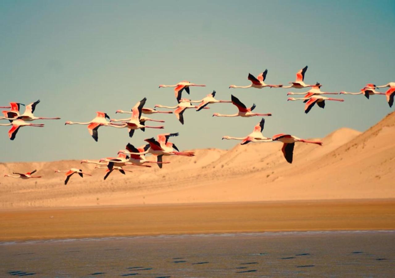 Paraiso Ad-Dakhla Exterior foto